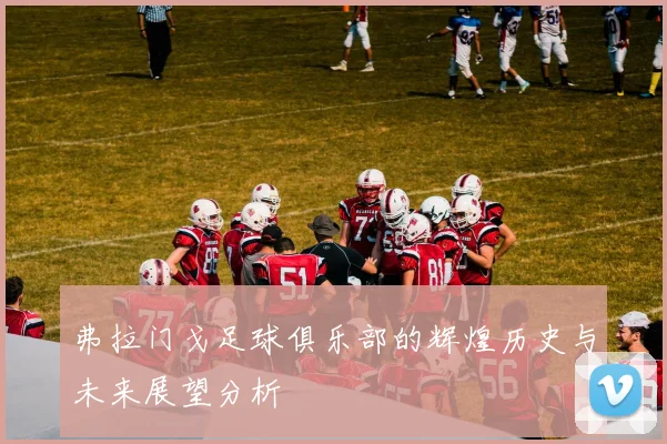 弗拉门戈足球俱乐部的辉煌历史与未来展望分析